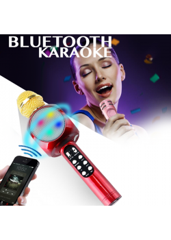 Wster Wireless Bluetooth Mini KTV Karaoke Microphone + Speaker for PC and Phone, WS-878